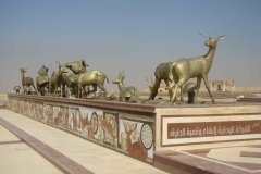 DSC00489-c54